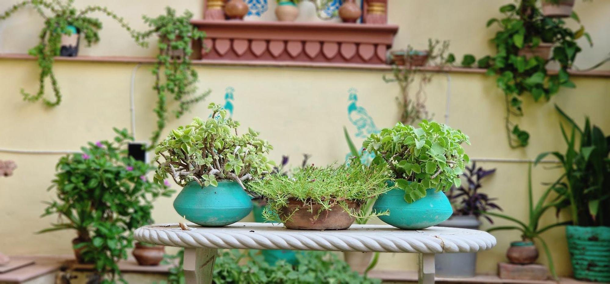 Harsidhi Haveli Leilighet Bikaner Eksteriør bilde